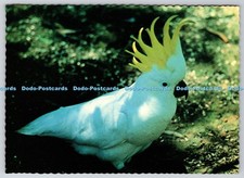 D330624 Australia. Sulphur