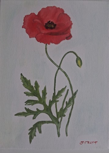 Poppy original oil painting - a,