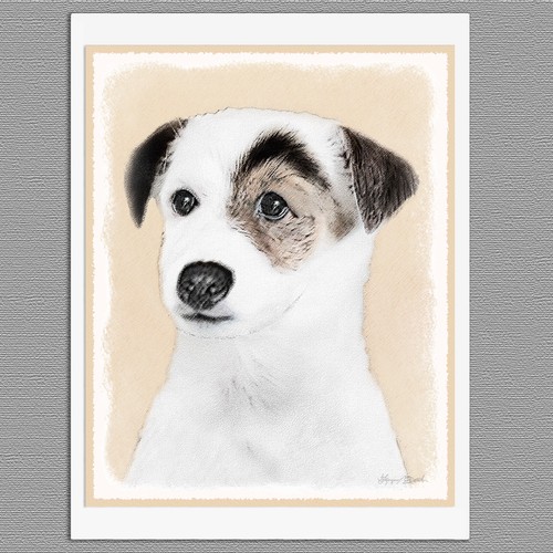 Parson jack russell terrier - 6,