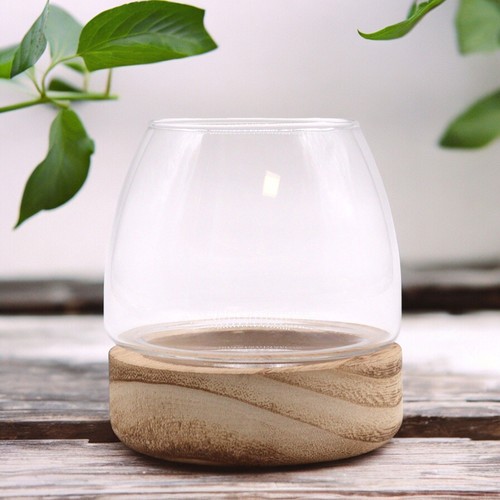 Medium glass terrarium natural - glass,