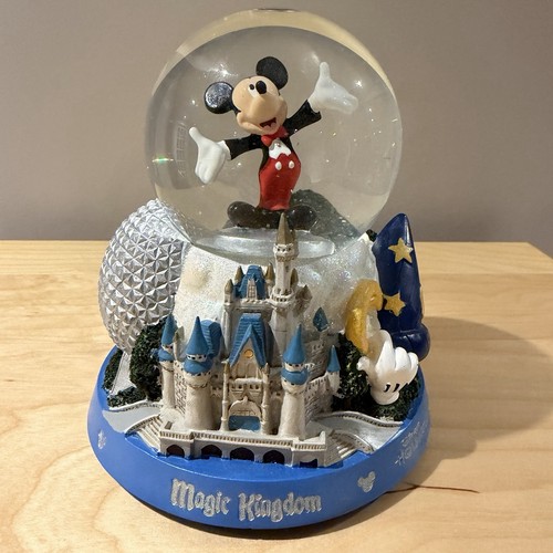 Disney world magic kingdom - world,