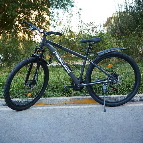 Inch mountain bike - inch, 21