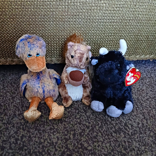 Beanie babies plush - ty,
