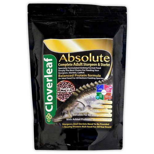 Cloverleaf sturgeon sterlet - cloverleaf, sturgeon/sterlet