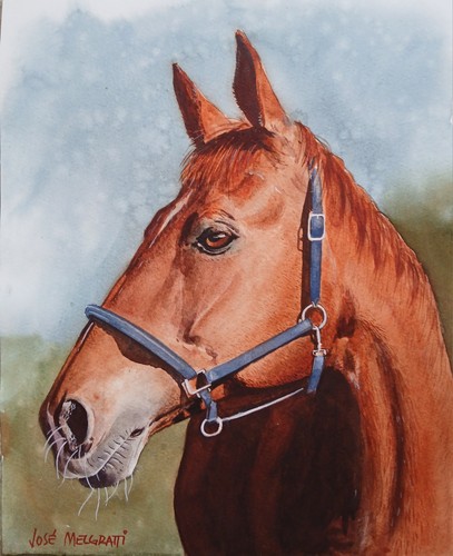 Original watercolor painting - watercolor,