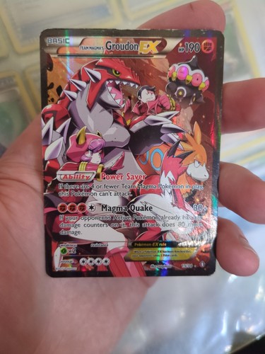 Team magmas groudon double - team,