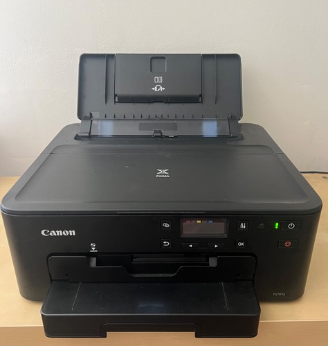 Edible printer with ink - printer,