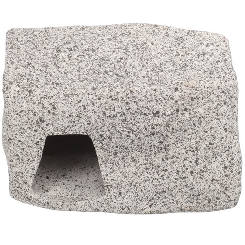 Tropical fish tank accessories - fish,