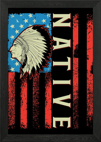 Native american flag - flag, framed