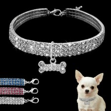 Dog Collar Rhinestone Full