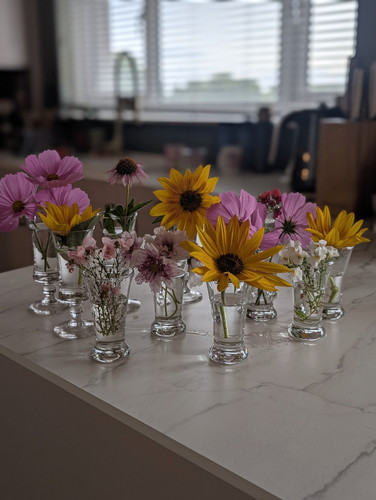 Clear glass bud vases set - glass,