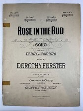 Rose In The Bud by Dorothy