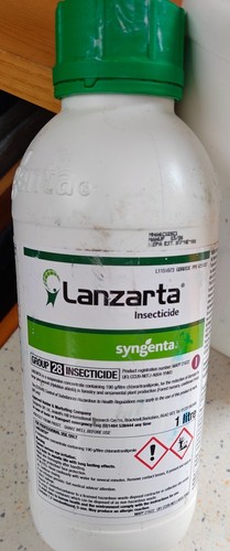 Lanzarta insecticide weevil - lanzarta,