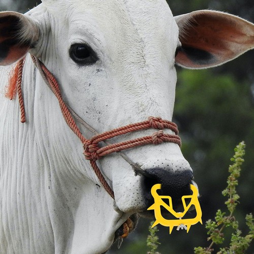 Yellow durable plastic cattle - durable,