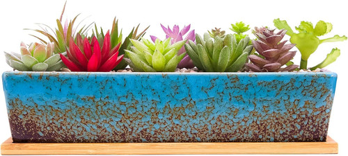 Succulent plant pots 30 5cm - succulent,