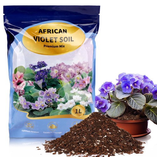 African violet potting soil - violet,