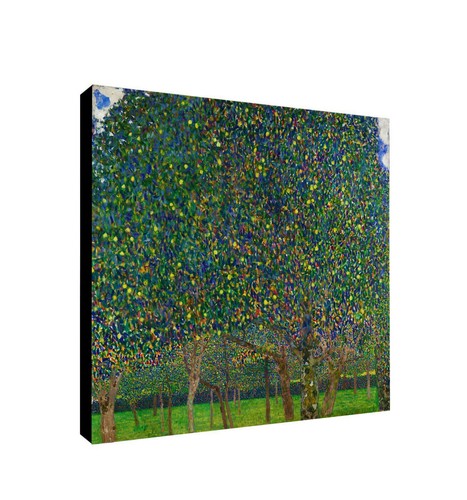 Pear tree gustav - gustav,