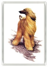 AFGHAN HOUND LOVELY DOG ACRYLIC FRIDGE MAGNET GREAT GIFT