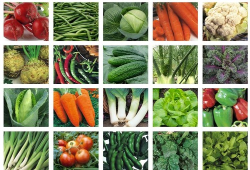 Vegetable seeds for planting - vegetable,