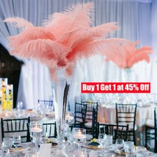 10PCS/pack Large Ostrich