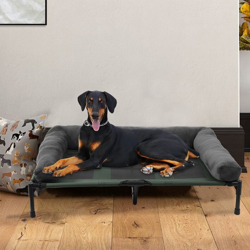 Outdoor indoor elevated - elevated, dog