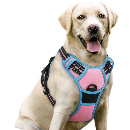 Rabbitgoo pull pet dog - rabbitgoo,
