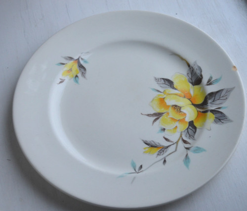 Vintage ceramic plate - vintage, bristol