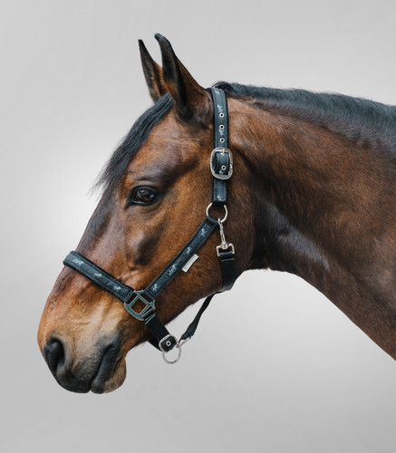 Horse headcollar with lead - horse,