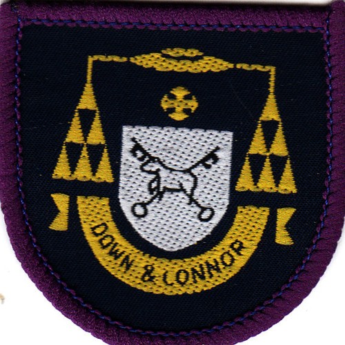 Boy scout badge ext down - boy,