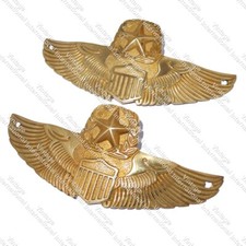 Petrol Fuel Tank Badge