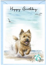 Norwich Terrier Dog (4"x 6")