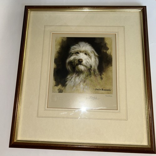 David shepherd limited - shepherd,
