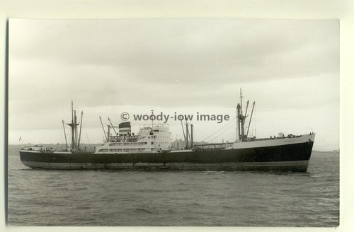 C0359 harrison cargo - -,