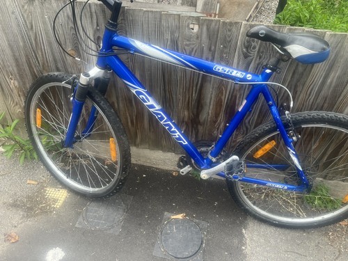 Mountain bike - mountain,