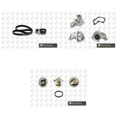 Timing belt kit with water - timing,