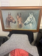 Arkle Red Rum Dessert Orchid