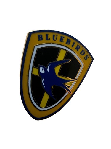 Cardiff city bluebirds - cardiff,