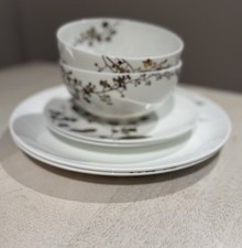 Wedgwood Vera Wang Jardin Set