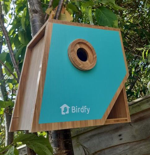 Netvue birdfy smart solar - solar, bird