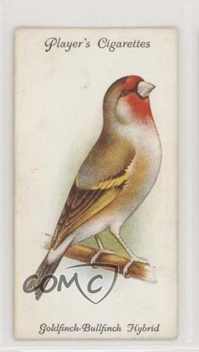 1933 player aviary - aviary, cage