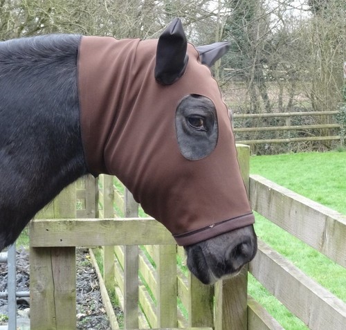Horse face cover sweet - face,