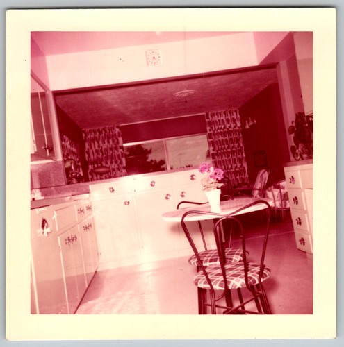 Vtg color snapshot mid century - vtg,