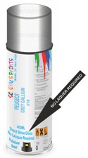 Direct Shine Spray Aerosol Paint For Peugeot 107 Urban Move 4 Grey Gallium Ktb