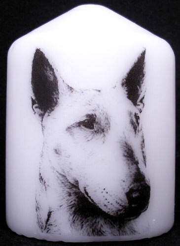 Candle picture english bull - english,