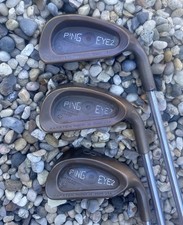 Ping Eye 2+ Right Handed Steel