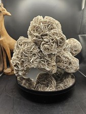 Desert Rose Selenite Gypsum
