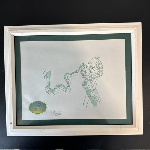 Walt disney villians signed - walt,
