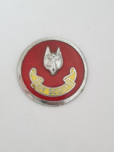 Boy scouts wolf - boy,