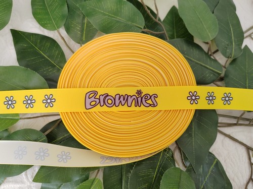 Girlguiding brownies girls - girlguiding,