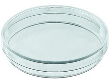 LARGE 200MM GLASS PETRI DISH